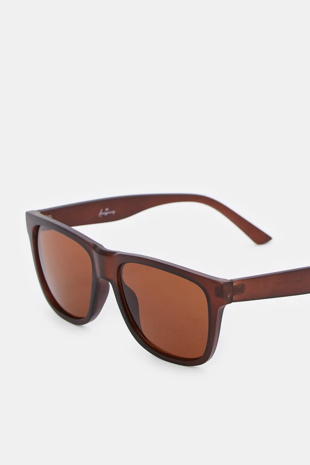 Men Brown Wayfarer Sunglasses