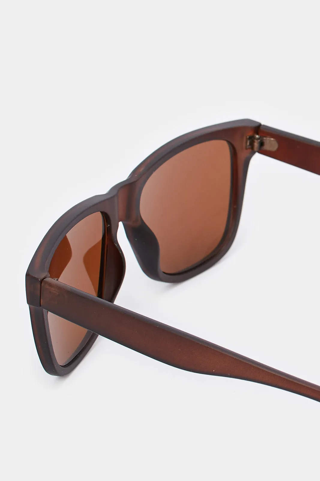 Men Brown Wayfarer Sunglasses